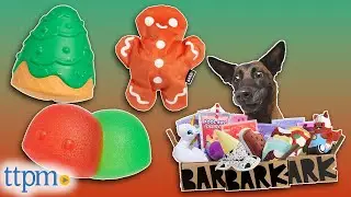 2022 Holiday Themed Bark Box