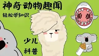 鲨鱼不用看牙医？神兽羊驼居然没有上牙齿？考拉天天吃毒树叶……这些动物们可太奇怪啦！#羊驼 #鲨鱼 #考拉 #大象 #动物趣事 #少儿科普  【毛茸茸的星球】