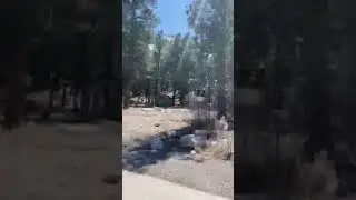 Video of Kyle Canyon Campground, NV from Brittney  B.