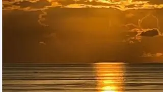 Oneness in Presence: Meditation & Prayer for Global Healing & Peace