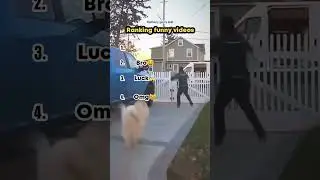 Ranking Top 4 Funniest falls #viral #viralvideo #viralshorts #youtubeshorts #fail #funnyvideos