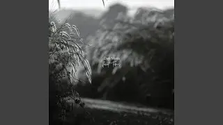 Quiet Times
