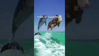 Ты знаешь кому отправить 😉 Контакты для связи в описании профиля