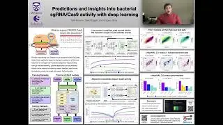 Predictions and insights into bacterial SpCas9 and SaCas9... - Tyler Browne - Poster - GLBIO 2025
