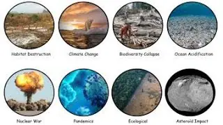 Every Current Extinction Threat Explained