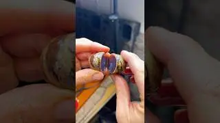 This rock is hiding a surprise inside! 😳 #minerals #shorts #viral