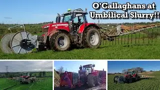 💪😍O'Callaghans at Umbilical Slurry with their Classy Masseys!!