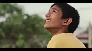 FLY HIGH (short film) | A film by Feedback Films