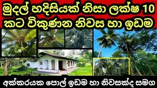 ලක්ෂ 10 කට සල්ලි හදිසියක් නිසා විකුණන නිවස හා ඉඩම | Coconut land | House for sale | Aduwata idam