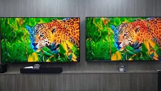 QLED VS OLED Samsung Q9FN vs OLEDC8 Standard pic mode