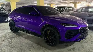 Тест Драйв Lamborghini Urus SE 2025г, 4.0 - 800лс, гибрид, цена 36.000.000 рублей.