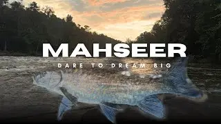 MAHSEER : The King of Stream Fishing