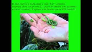 Ecological Farm Design for Pest Management In Organic Vegetable Production Webinar