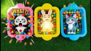 Long Slide Challenge with Cat, Bear & Panda  Funny 3D Animals
