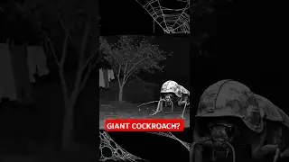 I Opened My Shed &mdash; A Cockroach Saluted Me. #shorts#GiantCockroach#uncanny#aigenerated