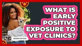 What Is Early Positive Exposure To Vet Clinics?