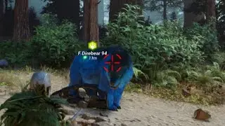 Taming a Rainbow Dire Bear