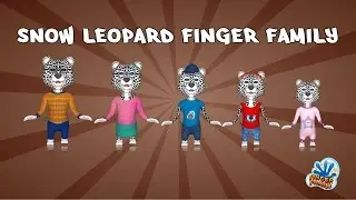 Snow Leopard Finger Family Nursery Rhyme | Snow Leopard 3D Finger Family Songs