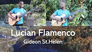 St.Lucian Flamenco | 