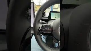 Name another cheap car that has a rotating screen! #byd #byddolphin #short #shorts