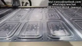 Clamshell Fruit Box Thermoforming Machine Plastic Food Container Making Machine