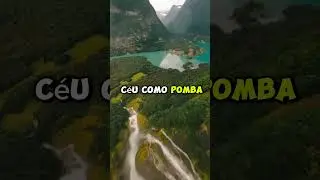 Cordeiro de Deus, aquele que tira o pecado do mundo( Jo 1, 29-34)|Medita&ccedil;&atilde;o da palavra