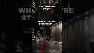 Mastering Decision-Making: How to Calm Your Mind and Combat Stress 😎 🧠