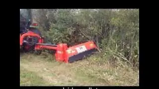 maschio girafetta 160