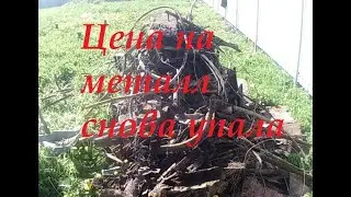 Цена на металл снова упала: будем копить до лучших времен