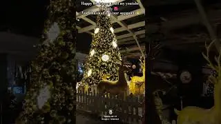 Happy Christmas to all my youtube family 🌺🥀// #neonep #vlog #dailyvlog #shorts #ytshorts #viral