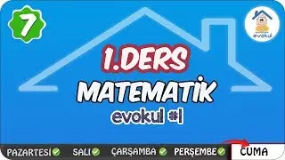 Orantı Problemleri | 7. Sınıf #evokul Kampı