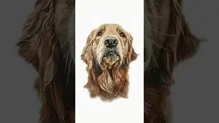 Turn your pet photos into hand-painted pet portraits!