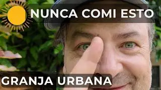 Buena manera de usar esta verdura| Jardín Permacultural