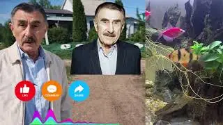 Полетевшие навстречу смерти и правда о катастрофе