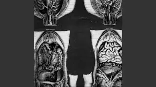 Contents of Stomach