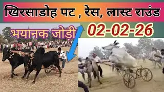 खिरसाडोह पट रेस भयानक जोड़ी उतरी 02-02-26,कई टांगें ( रिंगी) हुए बर्बाद 