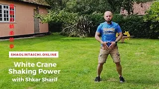 How to Develop White Crane Kung Fu Shaking Power