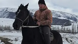 Аламан улактын Аты +996-220-549-116 30га января 2026 г.