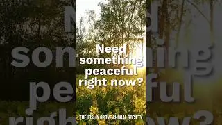 Need Something Peaceful Right Now? Let These Hymns Play While You Rest&hellip;