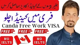 Get free Canada visa - canada 🇨🇦 free work visa 2023 | no ielts no lmia | free food + flight
