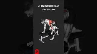 BACK WORKOUT #gym #workout #fitness #bodybuilding #fitnessmotivation #back #animation #3d