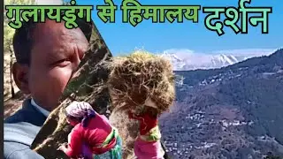 गुलायडूंग से हिमालय दर्शन। Uttrakhand village life।। shyam da pahadi।।