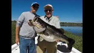 Client Catches Massive 13Lb.  Plus Bass