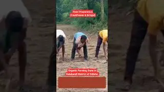 Want's to learn organic farming? #organicfarmingindia #organic #agriculture