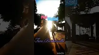 Vettelfari #monkart #монкарт #reels #trend #anime #love #like #trending #remix #tiktok #video 