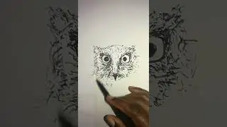 Simple owl drawing. #easy #quick #fun  sketch