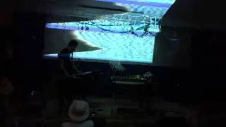 Magneticring Live at ArtsWells Festival