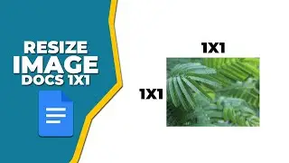 How to resize an image in Google Docs 1x1