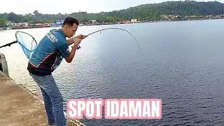 Mancing Casting Di Pinggir Laut Dapat Monster GT Babon,, Metal Jig Penggoda Predator Kolong Dermaga.