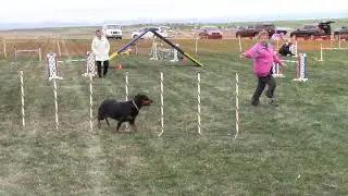 2019-04-29 Rottweiler Agility. American Rottweiler Club Natl Specialty